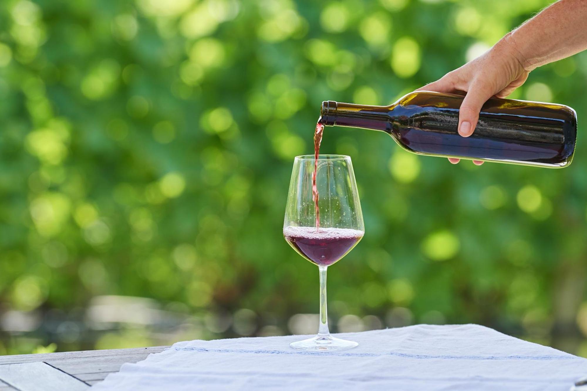 Weingut Stuck Apartment Appiano Sulla Strada Del Vino Luaran gambar