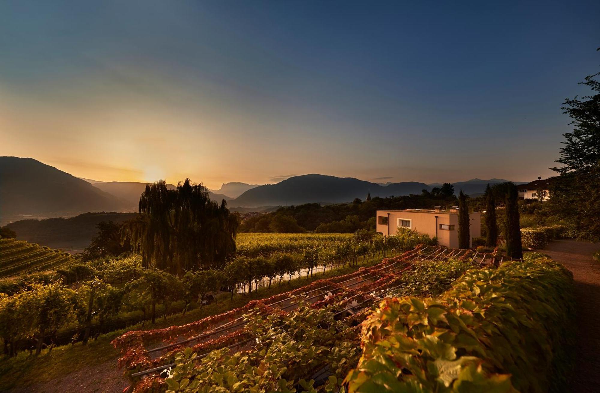 Weingut Stuck Apartment Appiano Sulla Strada Del Vino Luaran gambar