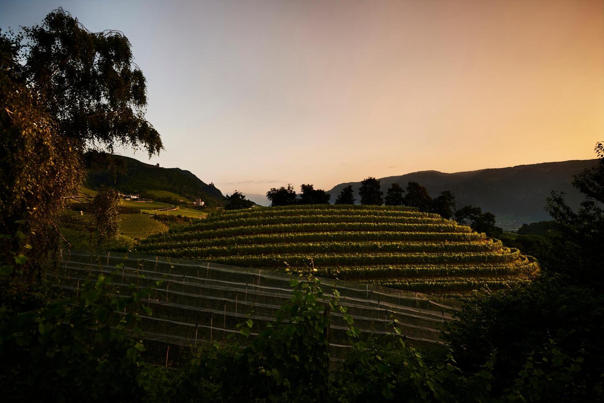Weingut Stuck Apartment Appiano Sulla Strada Del Vino Luaran gambar